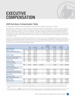 <b>Executive Compensation</b>