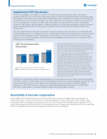 - Supplemental CEO Pay Analysis